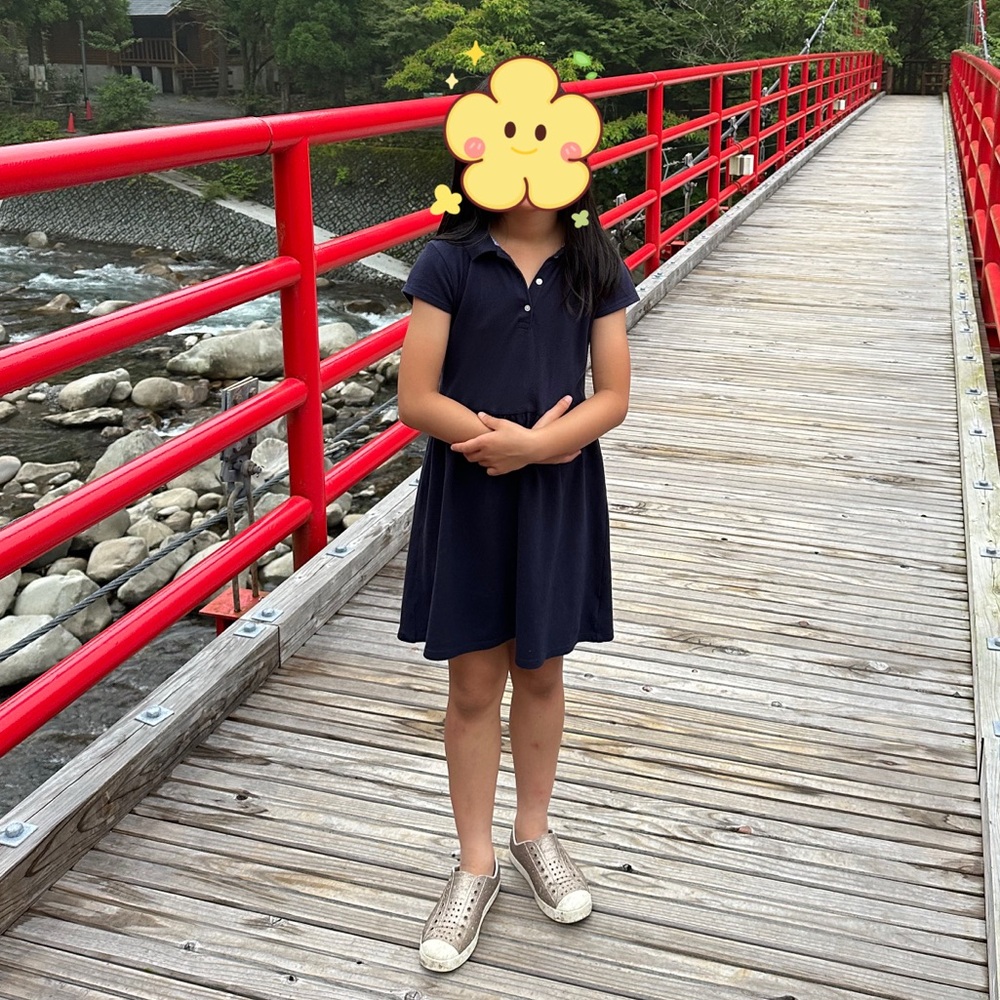 Gap organic cotton Navy Blue Kids Dress